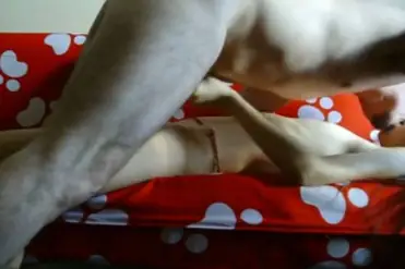 Siaran Nakal ABG Jakarta Dari Hotel Mewah Bikin Melongo